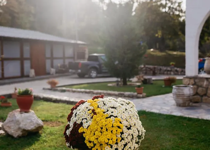 Apolithomeno Dasos Near Alexandroupolis Lefkimmi (Evros)