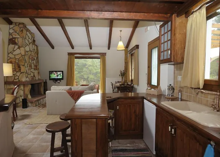 Apolithomeno Dasos Near Alexandroupolis Lefkimmi (Evros)