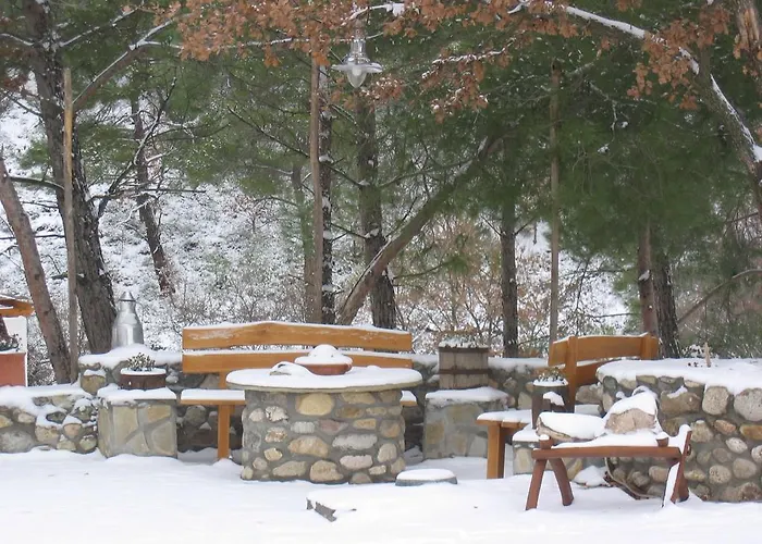 Apolithomeno Dasos Near Alexandroupolis Holiday park *